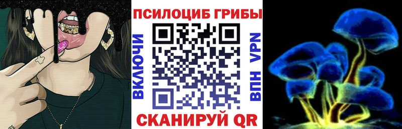 где продают   Зима  Псилоцибиновые грибы GOLDEN TEACHER 